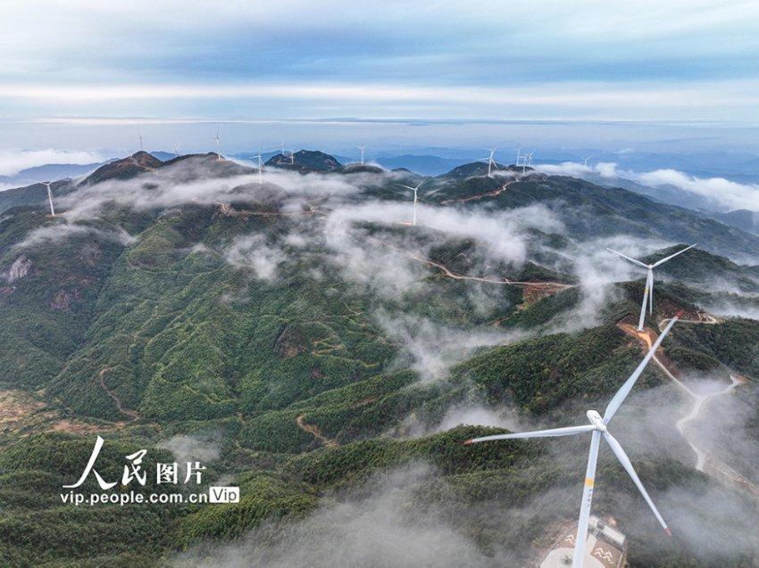 省政协委员张凤翔：拥抱IP改编，建议在创作中融入浙江符号